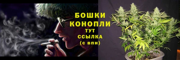 гидропоника Нязепетровск