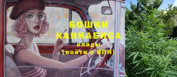 гидропоника Нязепетровск