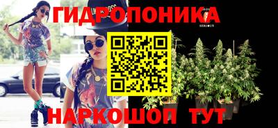 амф Краснодар