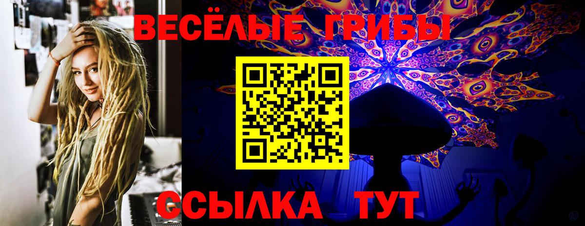 Псилоцибиновые грибы мицелий  купить наркотики сайты  Вход с VPN  Якутск  Псилоцибиновые грибы MAGIC MUSHROOMS 