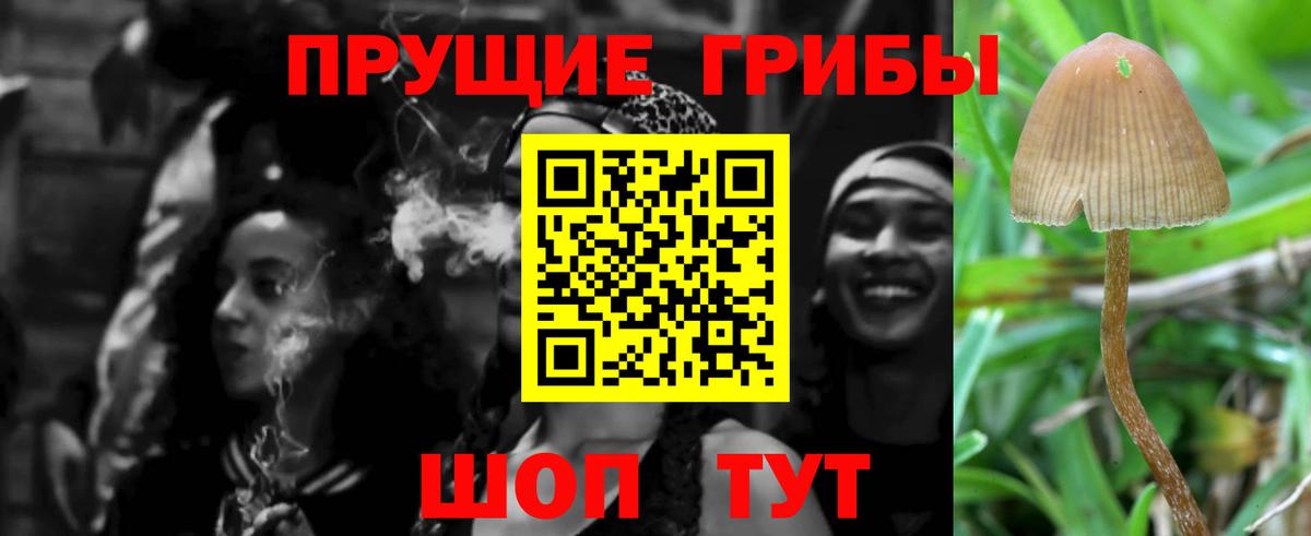 Псилоцибиновые грибы ЛСД Якутск